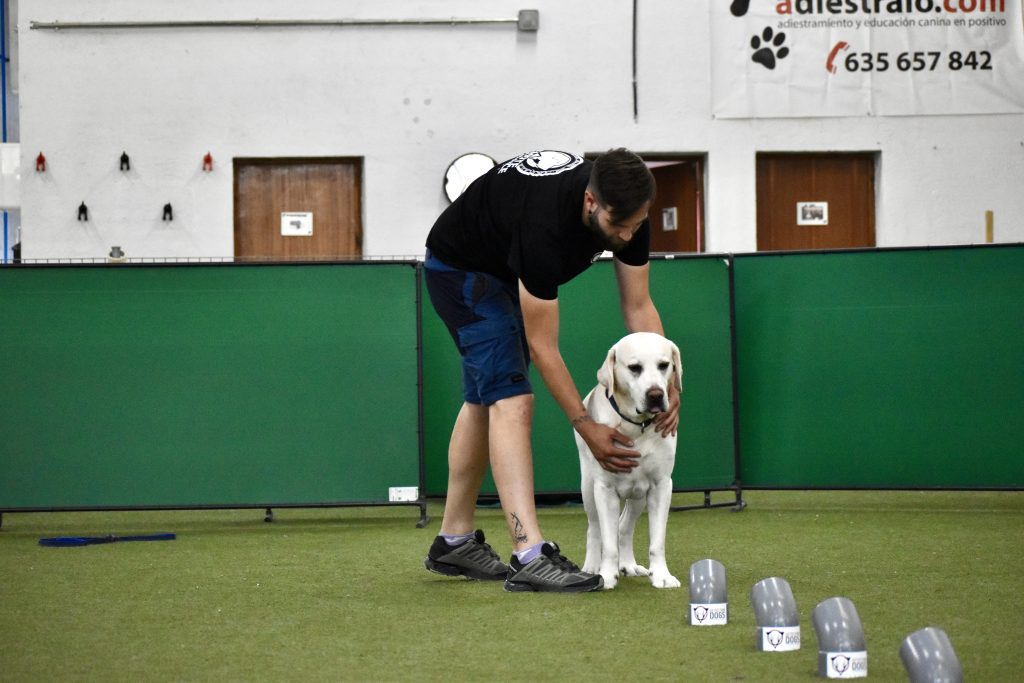 Adiestramiento Canino